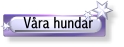 Vra hundar